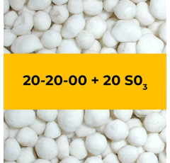 20-20-00 + 20 SO3