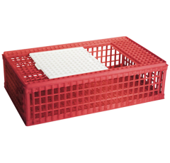 Cage d'élevage pour poussins et cailles 95 x 58 x 28 cm - UKAL