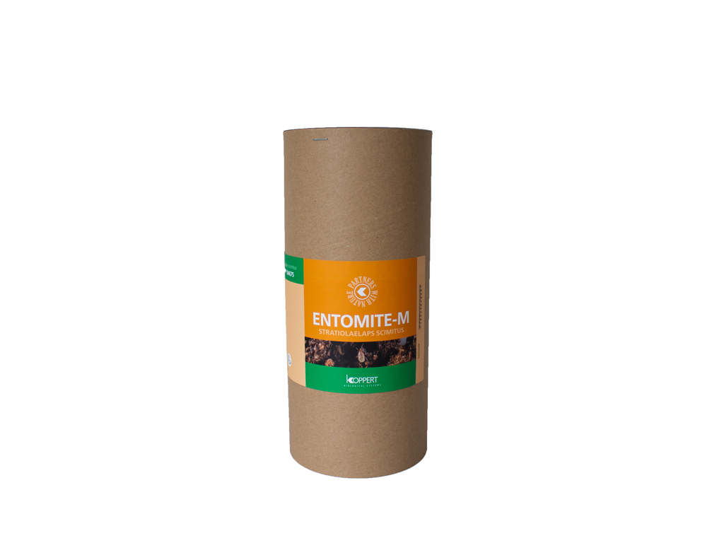 ENTOMITE - Lutte contre les mouches et moucherons - Bestico | Anti-insecte