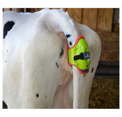 Détecteur de vêlage - MOOCALL