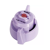 Buse pulvérisateur à jet plat AXI Fast Cap 110° 025 Lilas - ALBUZ