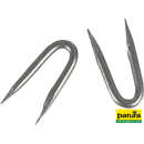 Crampillons galvanisés 3,8 x 38 mm - PATURA