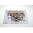Reparatursatz zu MEC 11000,Lamellen Long Life, Dichtungen und Wellendichtringe Battioni & Pagani