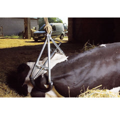 Elévateur gros gris pour bovins 900 kg - KAMER