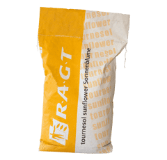 Tournesol linoléique précoce - RGT Wollf