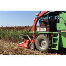 Sorghum - RGT Swingg - Biomasse