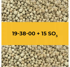19-38-00 + 15 SO3