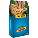 Saatmais - DKC3609 (K260) DEKALB
