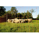 Euro-Netz Wolfsnetz JUMBO 90/2 Wildverbiss