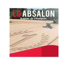 Blé tendre d'hiver - LG Absalon