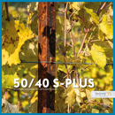 LEOVA® 50/40 S-Plus - Reihenpfahl - COR-TEN