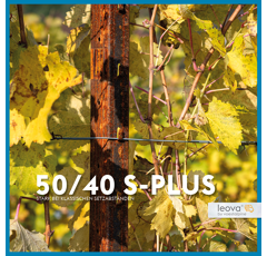 LEOVA® 50/40 S-Plus - Reihenpfahl - COR-TEN