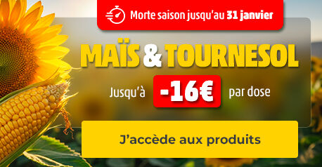 AGRICO_SEEDS_MAIS-TOURNESOL_030126
