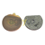 Friction pad kit pour téléscopique JCB 478/00849 adaptable