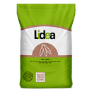 Soja 00 - ES Mentor - BIO