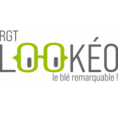 Blé tendre d'hiver - RGT Lookeo