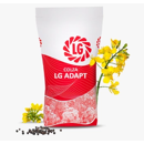 LG Adapt I Hybrider Winterraps