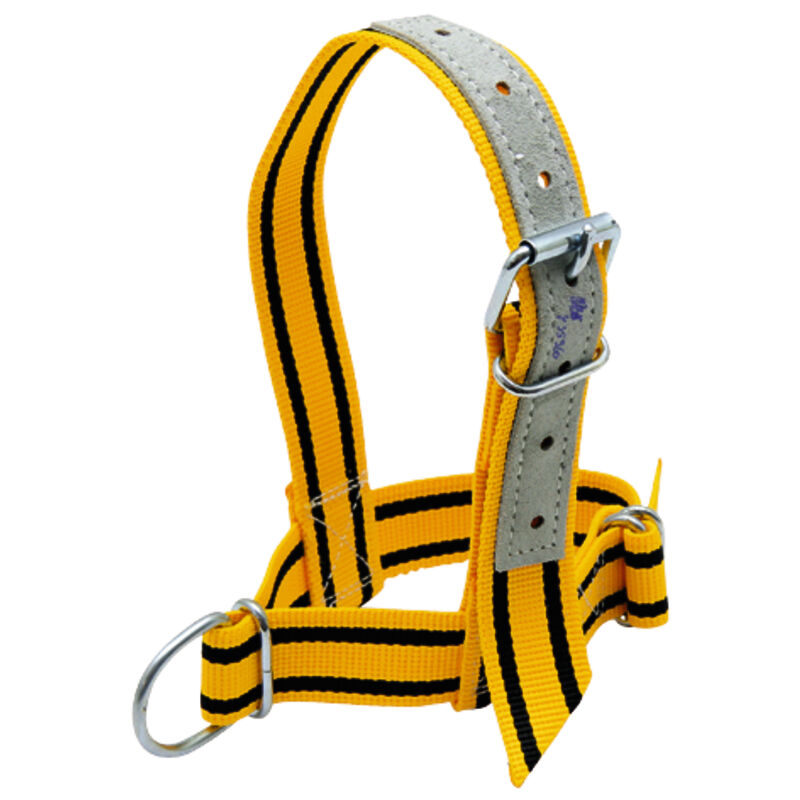 Licol En Nylon Pour Vache, Cheval, Chèvre - Réglable, Robuste, Avec Corde De Guidage 2.75m - 10