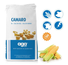 Saatmais - Camaro (S230 K240) AGASAAT