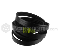 Courroie trapezoidale multiple 8126 mm  pour moissonneuse  CLAAS adaptable