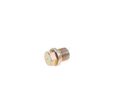 Verschlussschraube  BS14Z