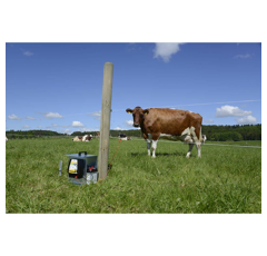 Poste mixte 12 V Farmer AN200 - HORIZONT