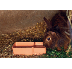 Mangeoire 2 compartiments 750 ml - CHICK'A