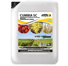 CUMBIA SC - Soufre liquide