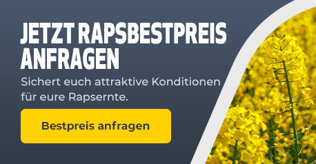 AGRICO_SEEDS_Raps_080726