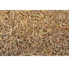 Wiesenschweidel- Spring Green