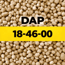 NP 18-46 (DAP)