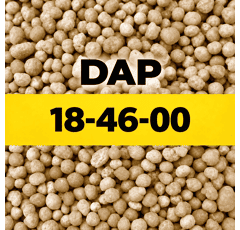 NP 18-46 (DAP)