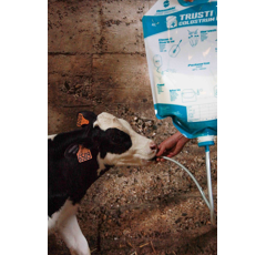 Lot de 4 Sacs de colostrum avec embout et tube - ANTAHI