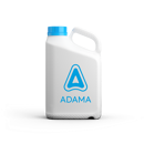 FORAPRO / HERMIONE / ROBAVA / BILBATRA