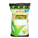 Maïs mixte 300 - Belido