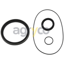 Kit d'étanchéité réducteur pour téléscopique MERLO 79205 adaptable