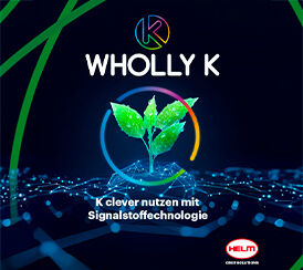 202603 BRAND STORE HELM fiche produit