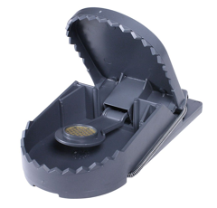 Lot de 25 pièges à rats SUPERCAT - SWISSINNO