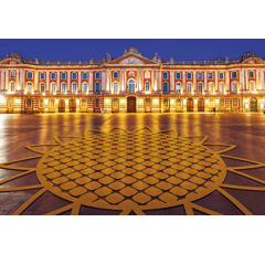 Tournesol oléique très précoce - RGT Capitoll