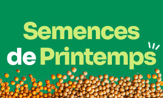 AGRICO_SEEDS_semencesdeprintemps_040425