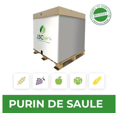 Purin de Saule
