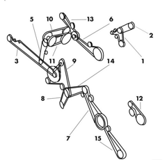 Courroie pour moissonneuse-batteuse CASE IH 195396C2 adaptable