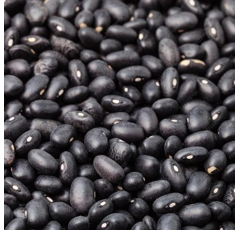 Schwarze Buschbohne - COCO NOIR - STARAZAGORSKI