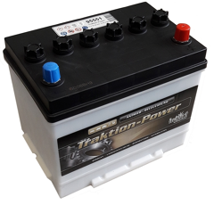 Batterie 12 V 55 AH 95551GUG Intact