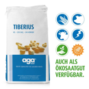 Saatmais - Tiberius (S230 K240) AGASAAT