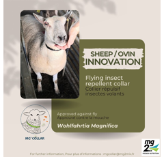 MG COLLAR - Collier répulsif insectes volants - Ovins - Sac de 125 unités