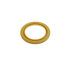 Dichtring  1169197 - Walterscheid