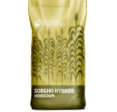 Sorgho ensilage monocoupe demi-précoce - Sucro 506