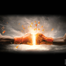 Winterweizen - KWS Ultim