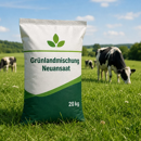 Grünlandmischung Neuansaat von Hans Koch - 2026